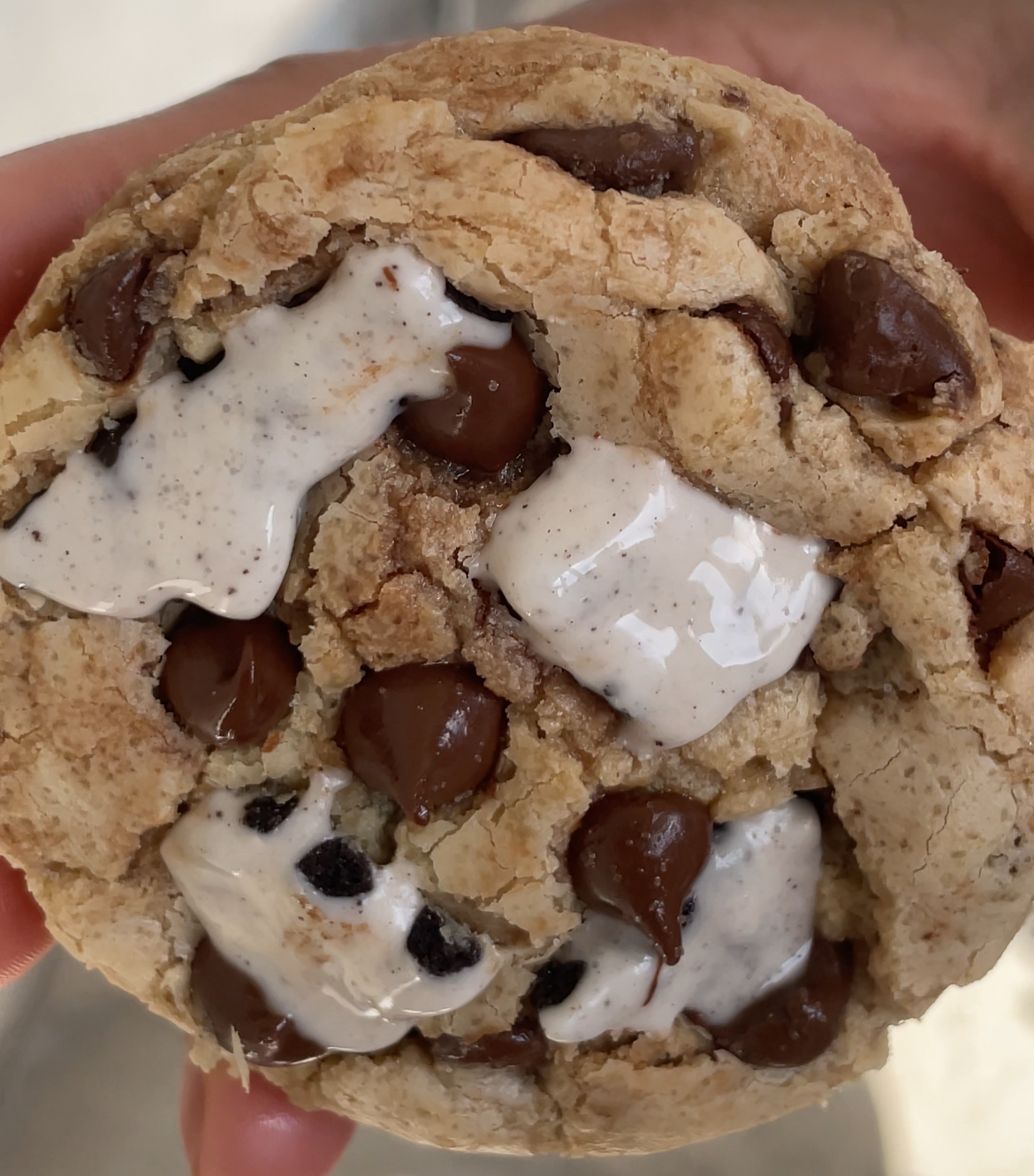 Chocolate Chip-Cookies n' Creme Cookies
